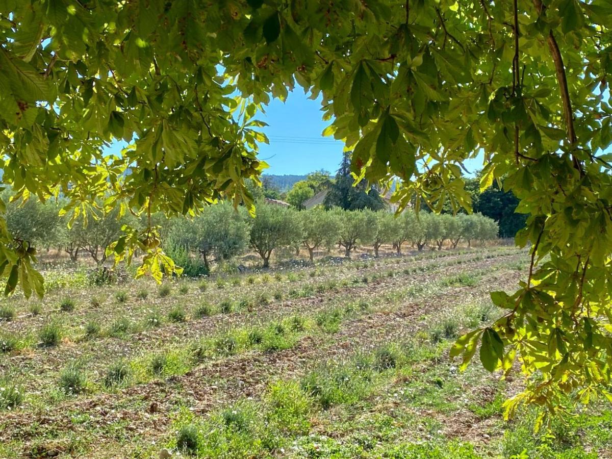 Mas Des Olives Frühstückspension Bédoin